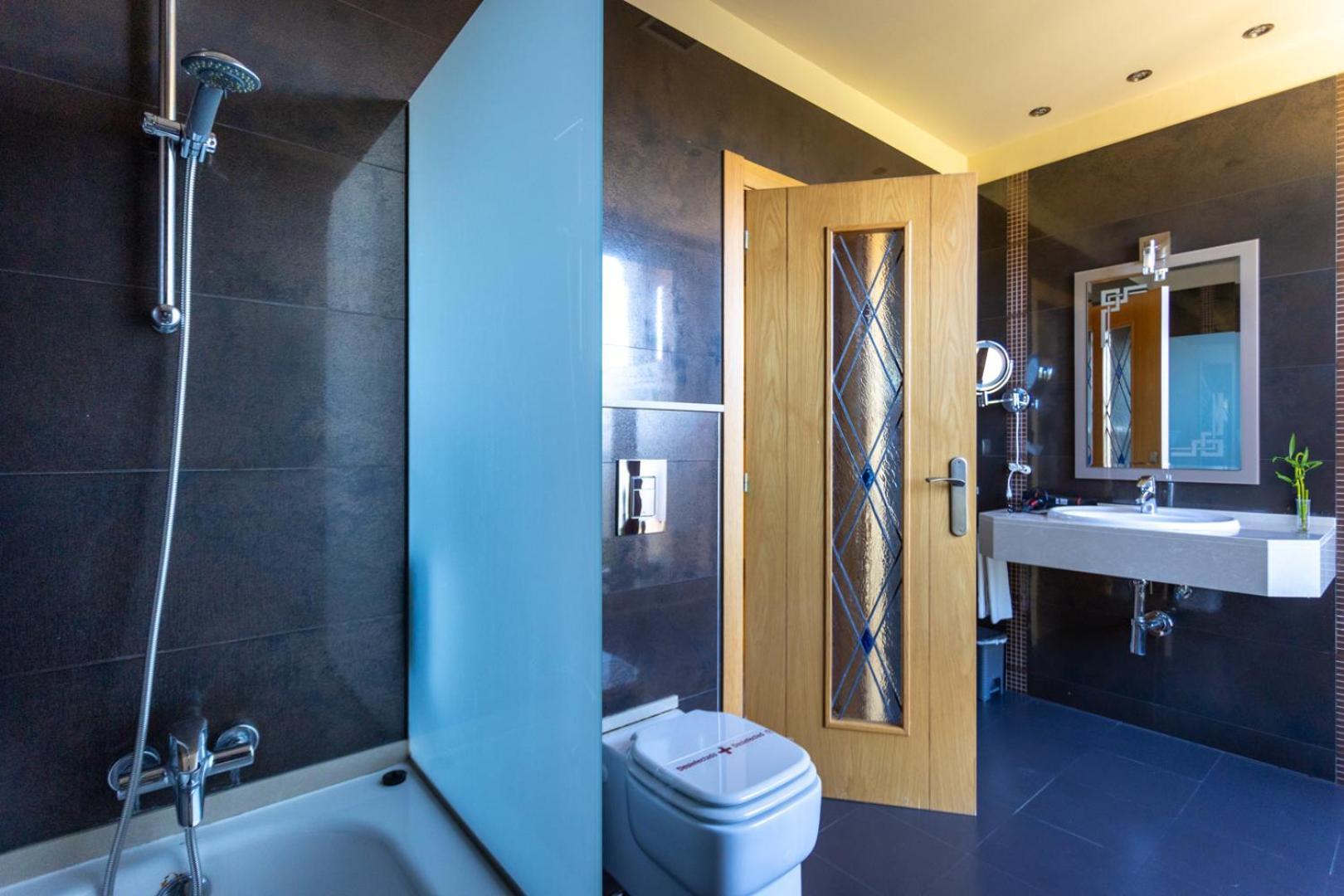 Hotel Felisa 4*